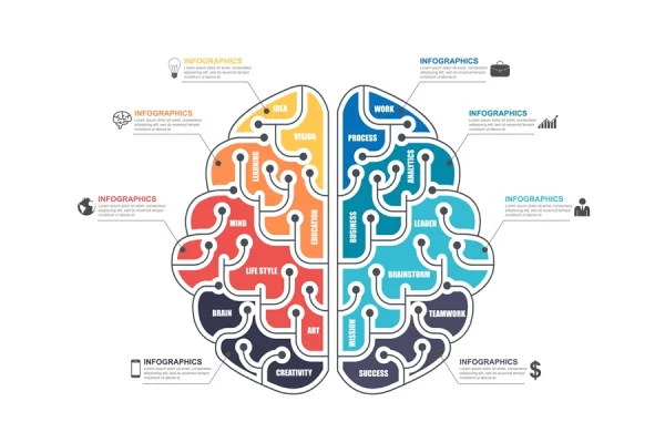 Brain Business Infographic Template